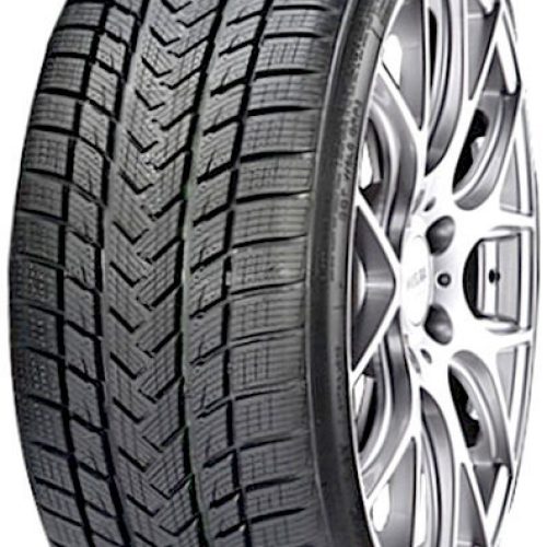 Gripmax Status Pro Winter 255/35 R21 98V Xl